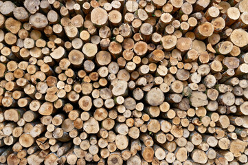 Stock de bois de chauffage