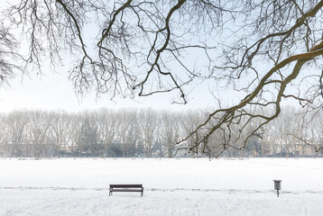 Park in winter, Szczecin, Poland.