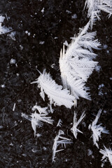 A wonderful formation of cold on the ice. Ice snowflakes, the unique beauty of winter.