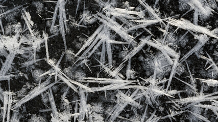 A wonderful formation of cold on the ice. Ice snowflakes, the unique beauty of winter.
