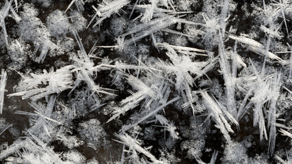 A wonderful formation of cold on the ice. Ice snowflakes, the unique beauty of winter.