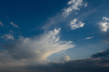 Russia. South of Western Siberia. Summer sunset over the Altai fields.
