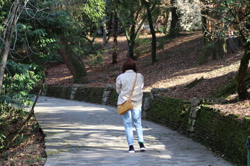 Fototapeta premium walking in the park