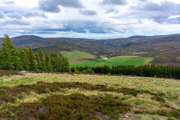 Fototapeta na wymiar Beautiful scenery in Aviemore , Scotland
