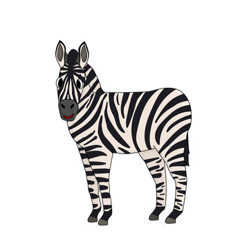 Vector Black and white cute outline cartoon zebra. Side view. Animal is smiling, isolated on white background.