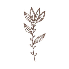 spring flower and leafs hand drawn icon vector illustration design
