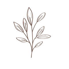 leafs plant hand drawn style icon vector illustration design