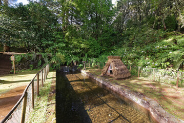 Portugal - Madeira - Queimadas - Wanderrastplatz © Uwalthie Pic Project