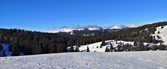 Fototapeta na wymiar Winter - white landscape in the mountains 