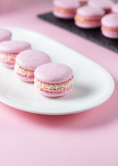 French macaroni cakes in pink on a white oval plate, space for text
