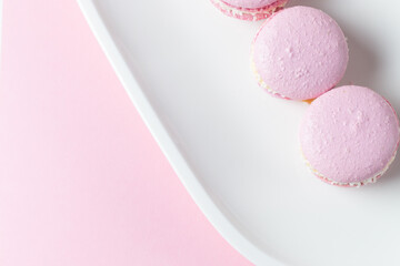 French macaroni cakes in pink on a white oval plate, space for text