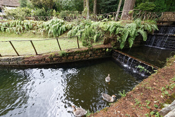 Portugal - Madeira - Queimadas - Wanderrastplatz © Uwalthie Pic Project