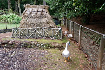 Portugal - Madeira - Queimadas - Wanderrastplatz © Uwalthie Pic Project
