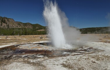 Jewel Geyser erupting along Biscuit Basin Loop Trail (Continental Divide Trail) in Biscuit Basin at Yellowstone National Park, Wyoming