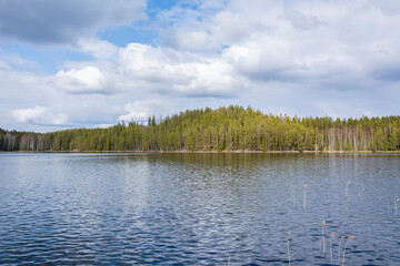 View of The Repovesi National Park, lake and forest, Kouvola, Finland