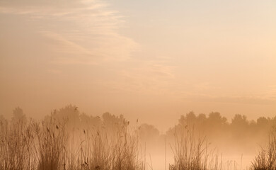 Fototapeta na wymiar Foggy morning near the river, abstract background.