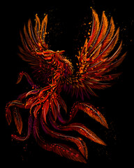 Phoenix. Color, graphic, digital drawing of the phoenix bird in watercolor style on a black background. Vector graphics. Separate layers.