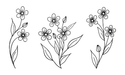 Set of stylized forget-me-not flowers. Drawn by the outline. Vector.