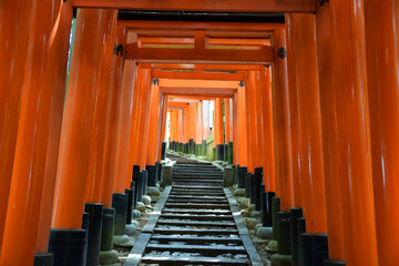 Fushimi Inari Temple, Kyoto - Pathway through the orange arches