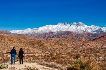 Visitors admiring snow capped mountains and saguaro cactus in the Sonoran desert