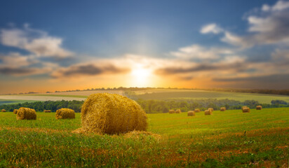 summer wheat field after a harvest with haystack at the sunset, agricultural countryside background
