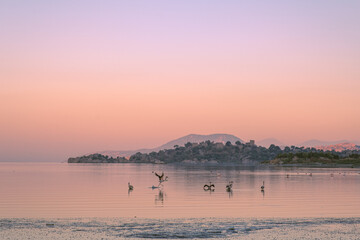 Herakleia reflection