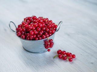 A metal basin filled with red currants