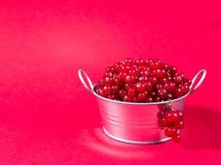 A metal basin filled with red currants on pink background