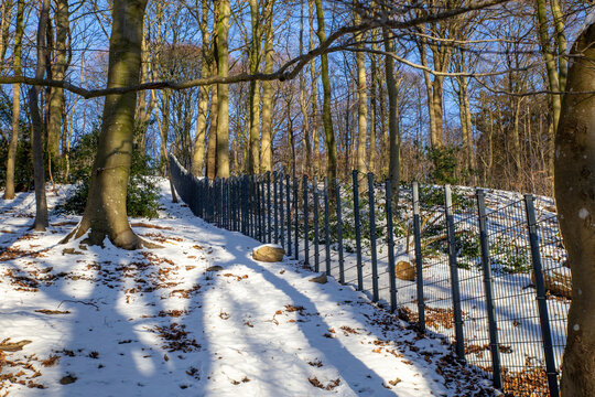 Wildscheinzaun an der deutsch-dänischen Grenze im Winter im schneebedcktem Wald