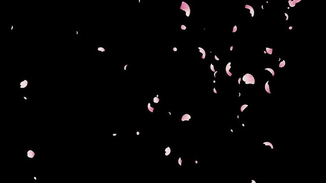 リアルな質感の桜吹雪　後半アルファ付きQT