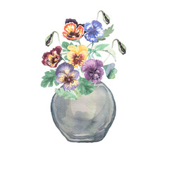 
Bouquet of flowers in a cardboard box with a bow in a jug in a bucket in a watering can. violets pansies. Pradnik 8 march spring congratulations postcard. Hand drawn watercolor illustration. Print te