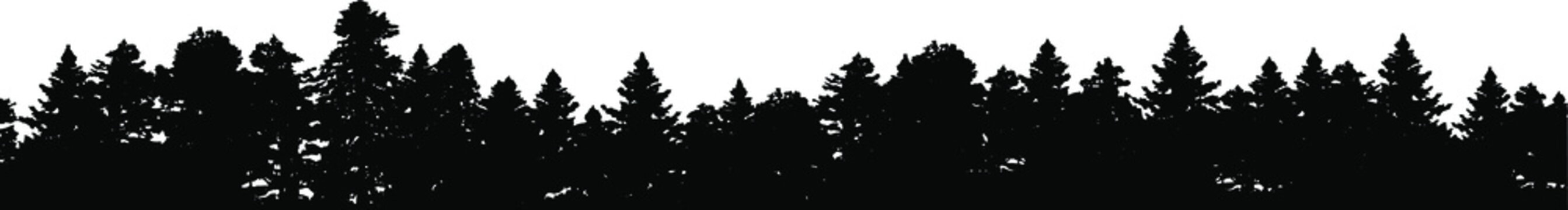 Forest silhouette - border, vector EPS 10 illustration.