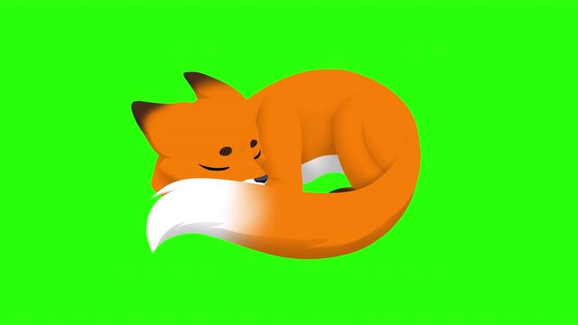 Cute cartoon sleepy fox 2d animation on chroma key green background
