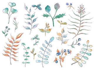 Hand drawn watercolor botanic set. Plants, twigs, leaf