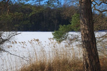 Fototapeta premium Winterlandschaft am See