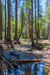 Yosemite Nationalpark