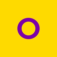 intersex flag colors
Intersex pride flag colors. LGBTQ community
