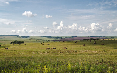 Hay bales in the field, agriculture, beautiful countryside landscape