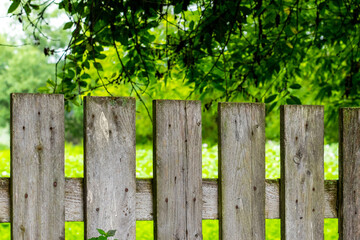 Wooden fence in the garden in summer