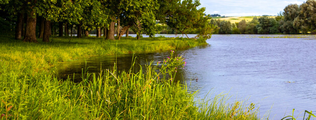 Panorama of the river and forest on the shore river in summer