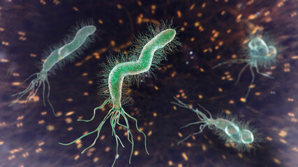 Fototapeta na wymiar Helicobacter pylori bacterium