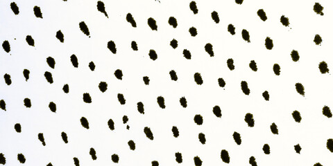 Bright Symbol Artwork. Hakki Trendy Image. Blue