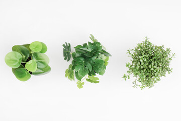 small plant pots on white background. top view flat lay 