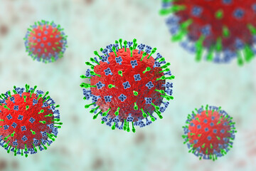 Hendra virus infection