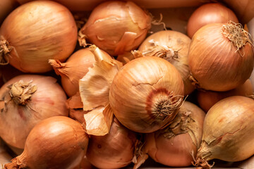Onions piled up seen from above