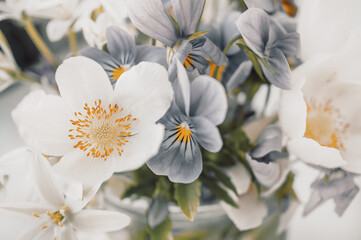 bouquet of spring flowers-wood anemones with violet and wild onion flowers in a glass vase on a light background. Close-up. Toned