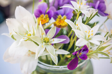 Fototapeta na wymiar bouquet of spring flowers-wood anemones with violet and wild onion flowers in a glass vase on a light background. copy space