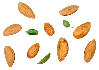 Almond nuts isolated on white background, top view
