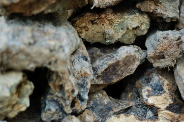 olive wood woodshed detail photography