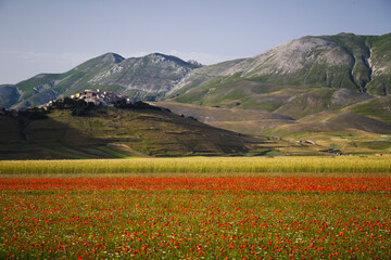 Beautiful summer landscape at Piano Grande (Great Plain) mountain plateau in the Apennine Mountains, Castelluccio di Norcia, Umbria, Italy